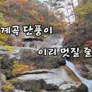 소금강계곡 단풍트레킹 이미지
