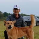 강화애견훈련학교 이미지