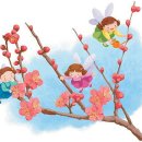 보석상자 이미지