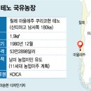 한국 태양광발전소 이미지