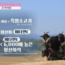 「본초강목」 「동의보감」에 기록된 흑염소의 놀라운 효능 [굿모닝 정보세상] 115회 이미지