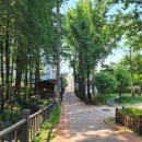 샘말공원 화장실 이미지