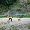 하늘아래 첫동네 꿩밭 이미지