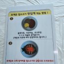 한방염소촌 이미지