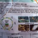 삼성농약사 이미지