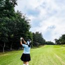 크라운골프클럽 | 혼마 BERES09 2스타 페어웨이 우드 5번, 4번 유틸리티 추천 여성골프클럽 후기