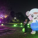 유림-26 이미지