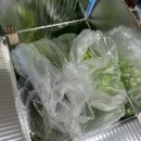 정진농장 이미지