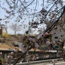 창말어린이집 이미지