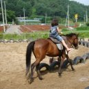 마녹펜션 이미지