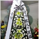 대성식물병원 이미지