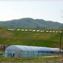 황새울길 이미지