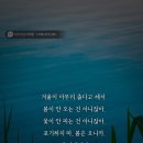 풍납동미도리