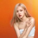 아모레퍼시픽창원센터합포점 - 10064 | 아모레퍼시픽창원센터합포점