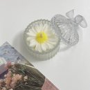 유공석유 - 화순군 | 캔들 초보를 위한 완벽 가이드 🕯️ | 효능부터 안전 사용법까지