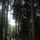법기수원지 | 부산 근교 양산 가볼만한 곳 | 비오는 날 법기수원지