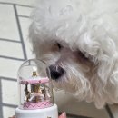 로이메디 | 훗카이도 삿포로 4박5일 기념품 추천 쇼핑 몬치치 연고 약 추천