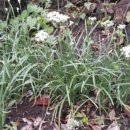 새우리농장 이미지