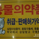 메디팜 고성왕약국 네이버블로그