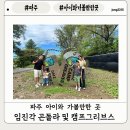 누리호스텔 | [파주 아이와 가볼만한곳] 파주 가볼만한곳 파주 임진각 평화 곤돌라 유모차 캠프그리브스 투어 후기
