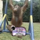 코모도에스테이트 102동 이미지