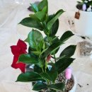 삼방초등학교 이미지