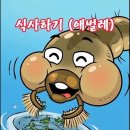 모기(mosquitoes)의 일생(초,중등학교 교재 학습 자료) 이미지