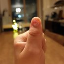 네일디테 이미지