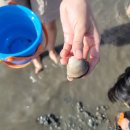 방아머리 이미지