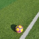 파평체육공원 축구장 이미지