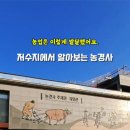 특별자치도여행사주