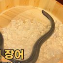 임진강민물장어구이앞