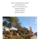 사파리모텔