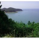 솔향기공원 이미지