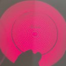 모던안경원 | 부천 스텔리스트안경 1년 넘은 후기 feat. 모던비안경원