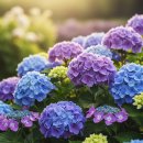 2025년 7월 두번째 가정통신문입니다 이미지