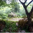 유전1리 이미지