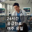 청심로 | 여주 세종병원 응급실 리얼 후기: 대기 시간, 의료진, 시설 정보