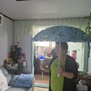 미스터트롯3~~^^ 이미지