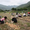 마산회원구청 이미지