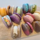 마리웨일 이미지