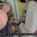 그린펫동물병원 이미지