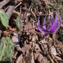 광덕1로7 이미지