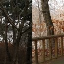 원주굽이길 12코스 뱃재넘이길 이미지