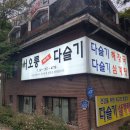 서오릉다슬기 티스토리