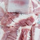 참돈돼지 이미지