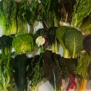 소은농장 이미지