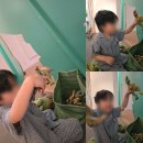 박물관수 | 아이와 잘츠부르크 여행, 잘츠부르크 장난감 박물관 후기