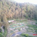 정필농장 이미지