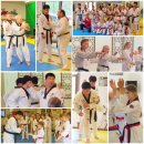 용성태권도장 이미지